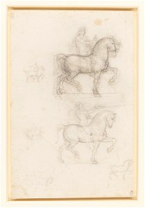Leonardo da Vinci - RCIN 912342, Designs for an equestrian monument c.1517-18