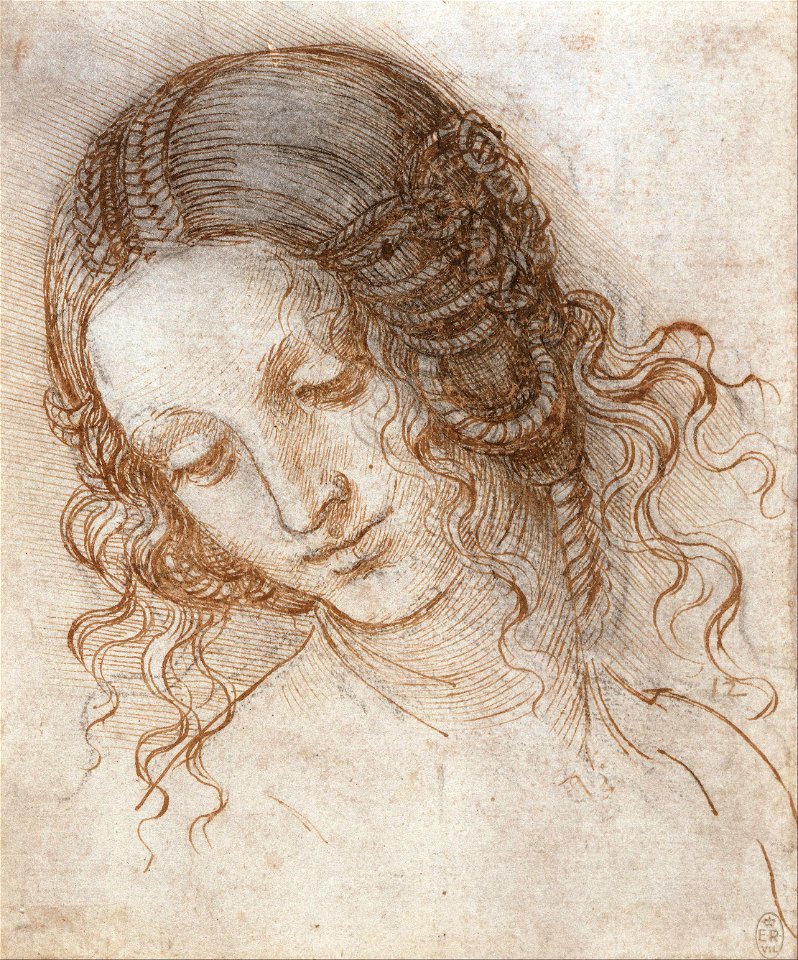 Leonardo da Vinci - Head of Leda - Google Art ProjectFXD