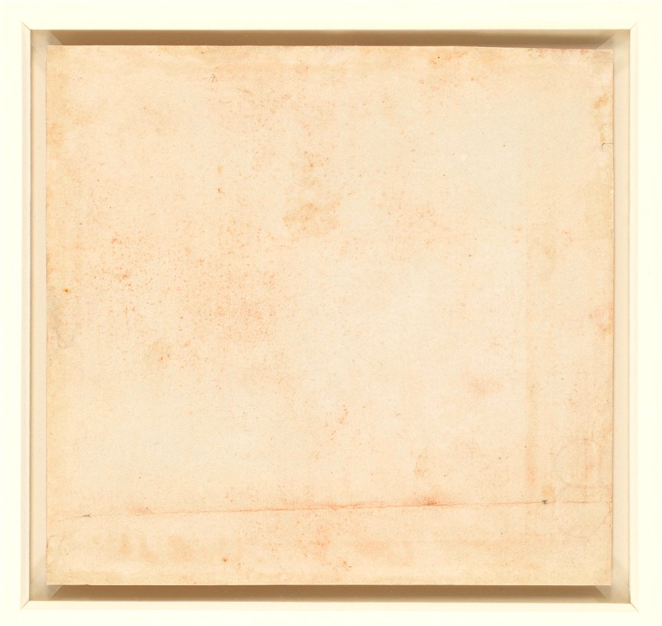 Leonardo da Vinci - RCIN 912419, v, A branch of blackberry c.1506-12