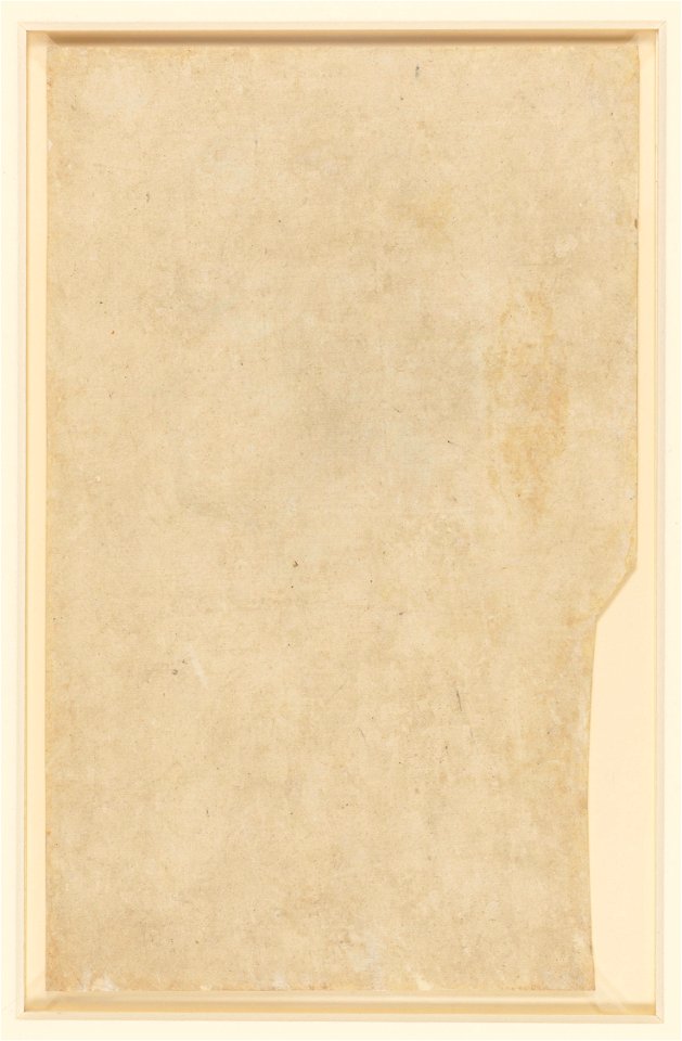 Leonardo da Vinci - RCIN 912505, v, A portrait of a woman in profile c.1485-90