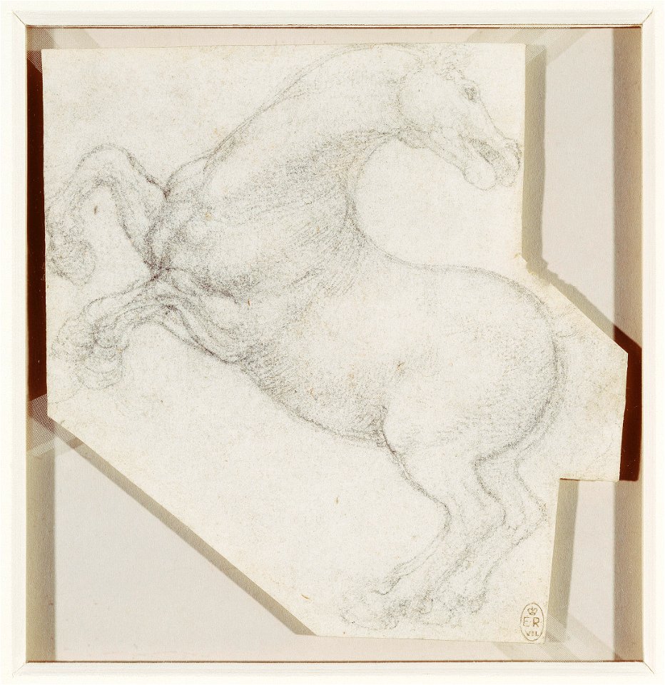 Leonardo da Vinci - RCIN 912334, A rearing horse c.1503-4