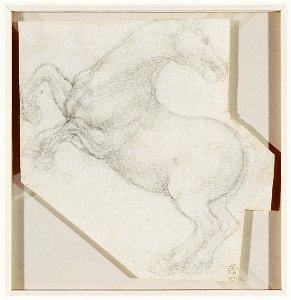 Leonardo da Vinci - RCIN 912334, A rearing horse c.1503-4
