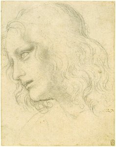 Leonardo da Vinci - RCIN 912551, The head of St Philip c.1495