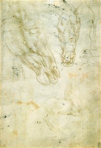 Leonardo da Vinci - RCIN 912285, Studies of horses and horses' heads c.1490