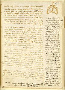 Leonardo da Vinci - RCIN 919034, Recto Notes on the respiratory system, with a marginal sketch