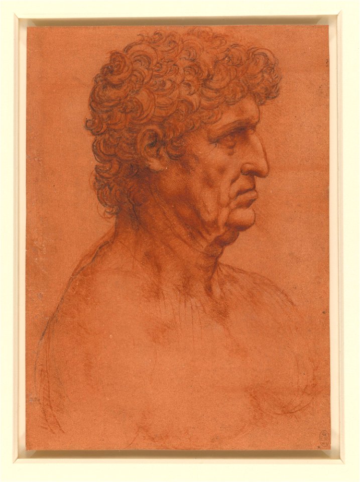Leonardo da Vinci - RCIN 912556, The bust of a man c.1510