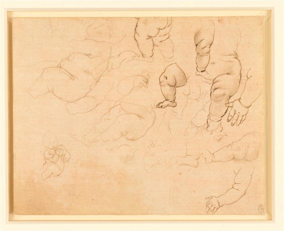 Leonardo da Vinci - RCIN 912569, Studies of an infant c.1490-92
