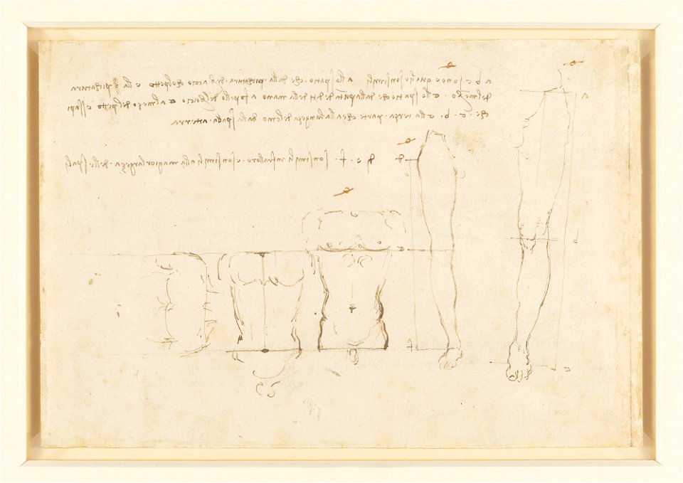 Leonardo da Vinci - RCIN 919130, Verso Studies of human proportion c. 1490