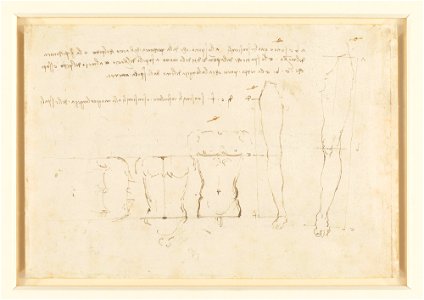 Leonardo da Vinci - RCIN 919130, Verso Studies of human proportion c. 1490