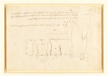 Leonardo da Vinci - RCIN 919130, Verso Studies of human proportion c. 1490. Free illustration for personal and commercial use.