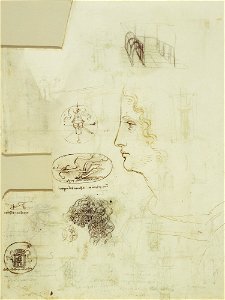 Leonardo da Vinci - RCIN 912282, Recto Studies of emblems, decorative dress, architecture, and a profile