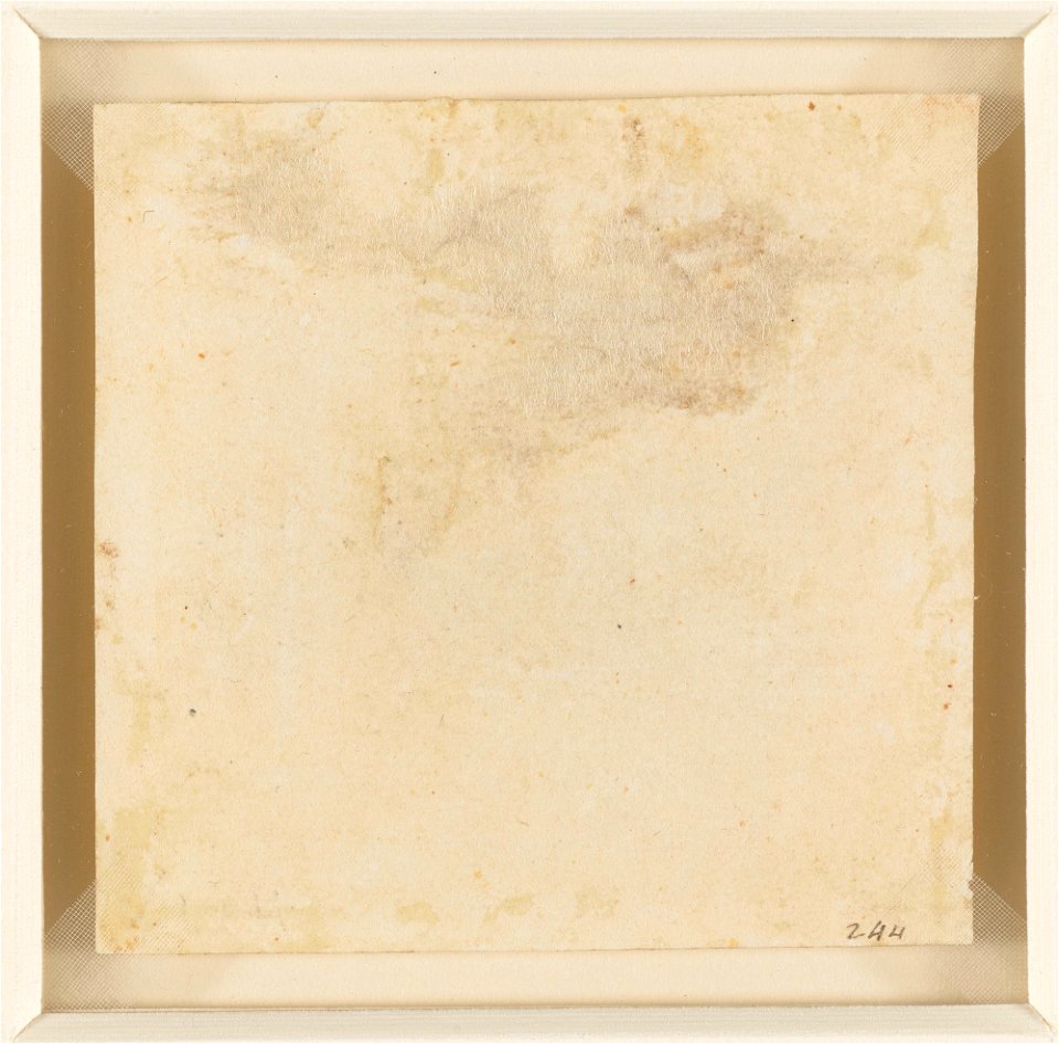 Leonardo da Vinci - RCIN 912402, v, Two willow trees (Salix sp.) c.1511-13
