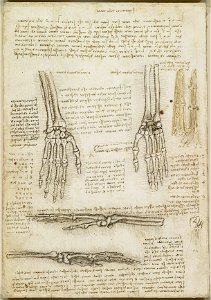 Leonardo da Vinci - RCIN 919009, Verso The bones of the hand c.1510-11