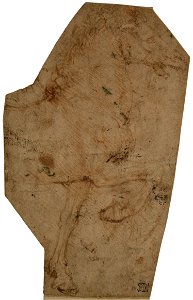 Leonardo da Vinci - Prancing Horse, Fragment, 1608