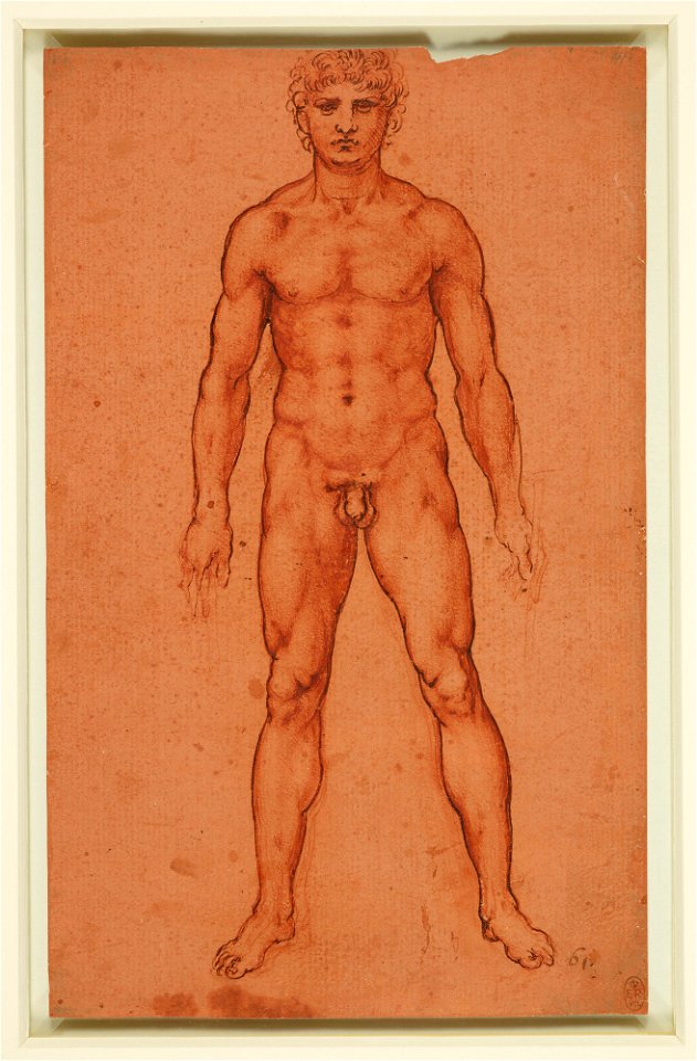 Leonardo da Vinci - RCIN 912594, A standing male nude c.1504-6