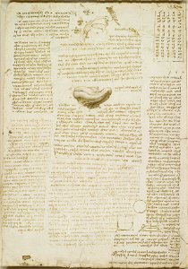 Leonardo da Vinci - RCIN 919115, Recto The tongue, and the production of the voice