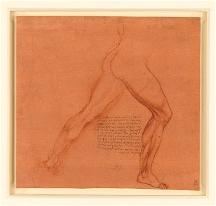 Leonardo da Vinci - RCIN 912623, The legs of a male nude c.1506-8