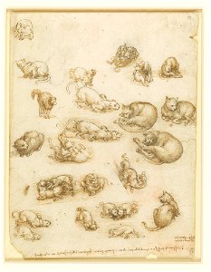 Leonardo da Vinci - RCIN 912363, Cats, lions, and a dragon c.1517-18