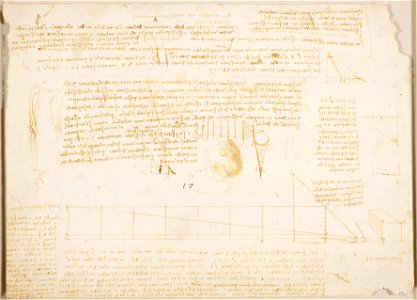Leonardo da Vinci - RCIN 919128, Recto Studies of geometry, notes on the foetus in the womb, and the anatomy of the arm