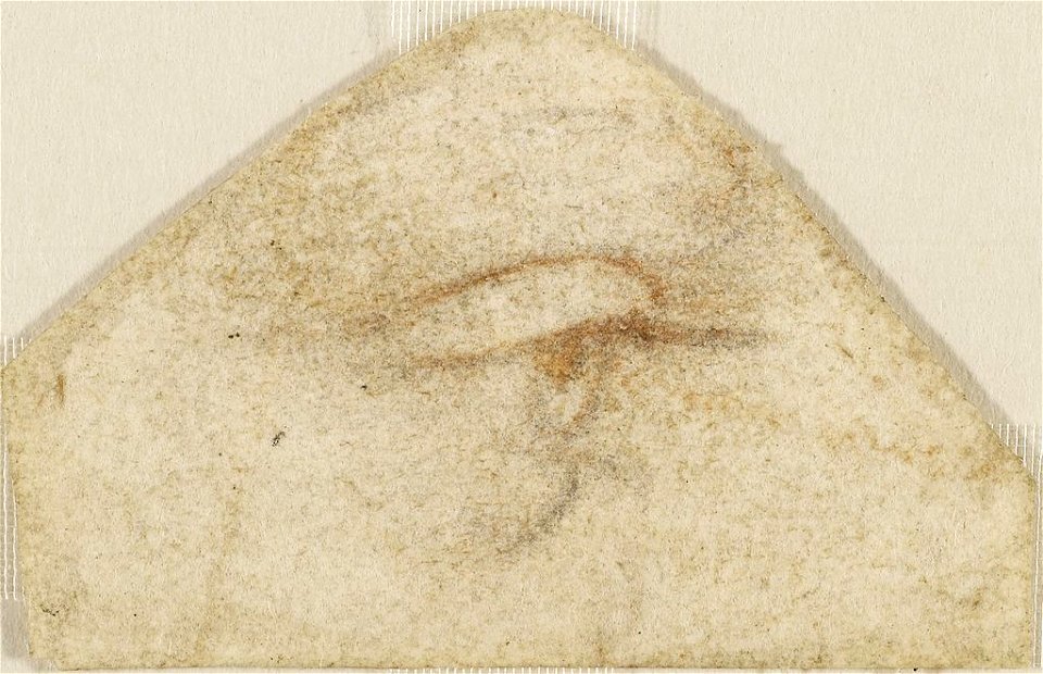 Leonardo da Vinci - RCIN 912435, An eye in profile c.1500