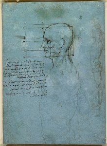 Leonardo da Vinci - RCIN 912601, The proportions of the head, and a standing nude c.1490