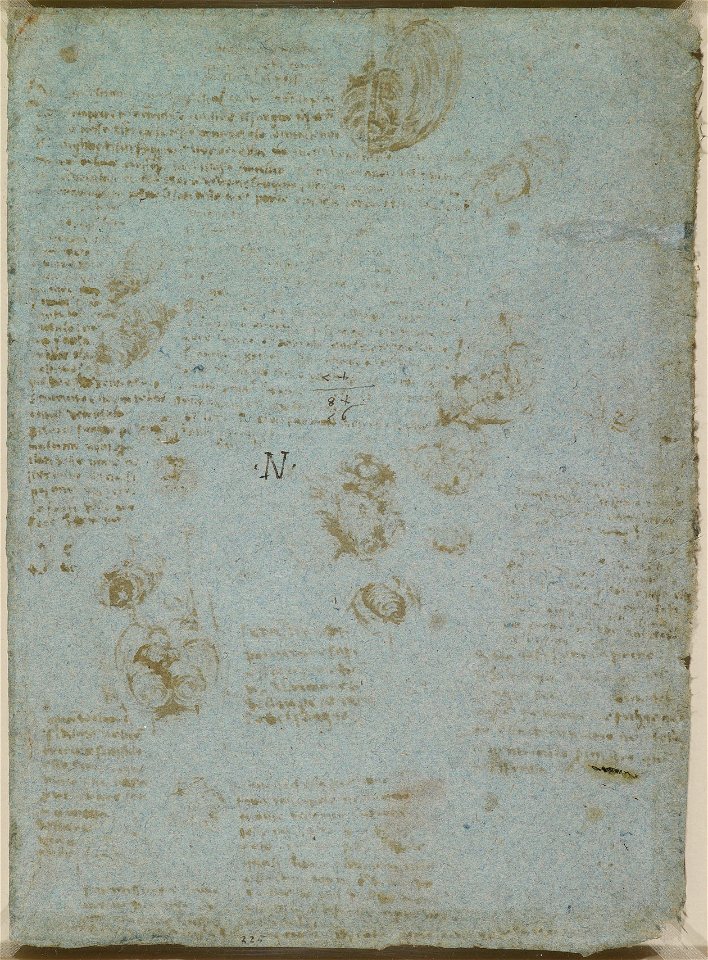 Leonardo da Vinci - RCIN 919083, v, Blood flow through the aortic valve c.1512-13