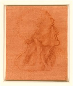 Leonardo da Vinci - RCIN 912547, The head of Judas c.1495 or later