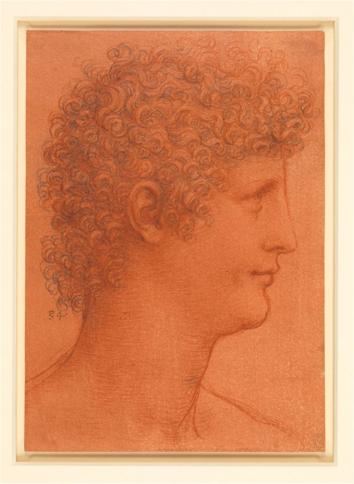 Leonardo da Vinci - RCIN 912554, The head of a youth c.1510