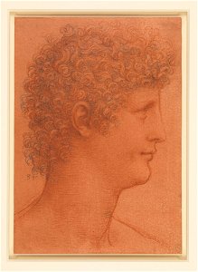 Leonardo da Vinci - RCIN 912554, The head of a youth c.1510