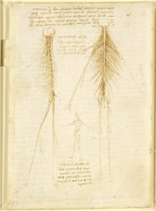 Leonardo da Vinci - RCIN 919034, Verso The nervous system c.1508