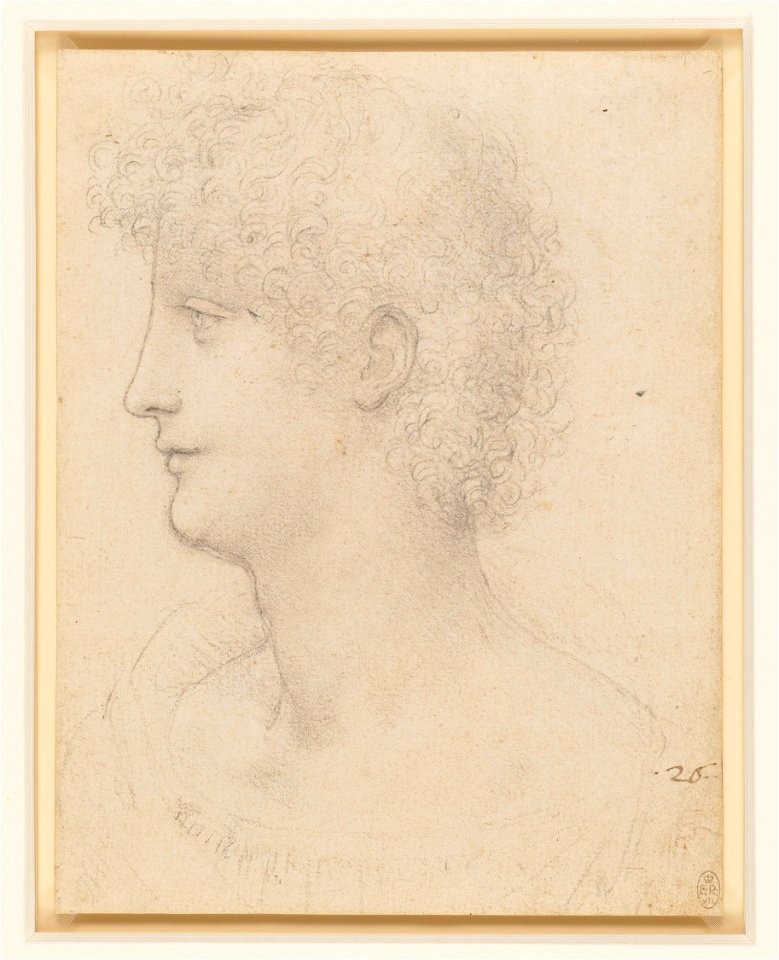 Leonardo da Vinci - RCIN 912557, The head of a youth c.1517-18