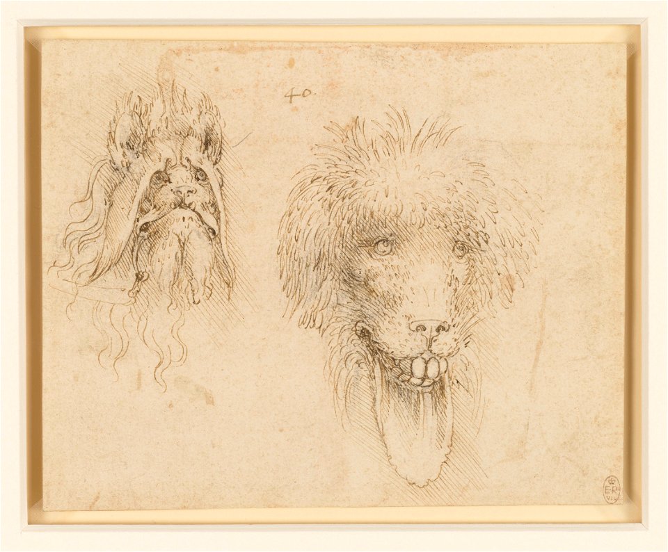 Leonardo da Vinci - RCIN 912367, Two heads of grotesque animals c.1490-95