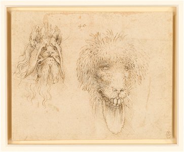 Leonardo da Vinci - RCIN 912367, Two heads of grotesque animals c.1490-95