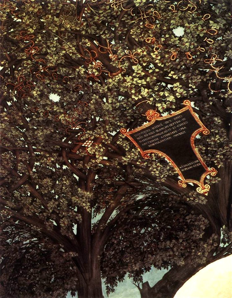Leonardo Sala delle Asse detail