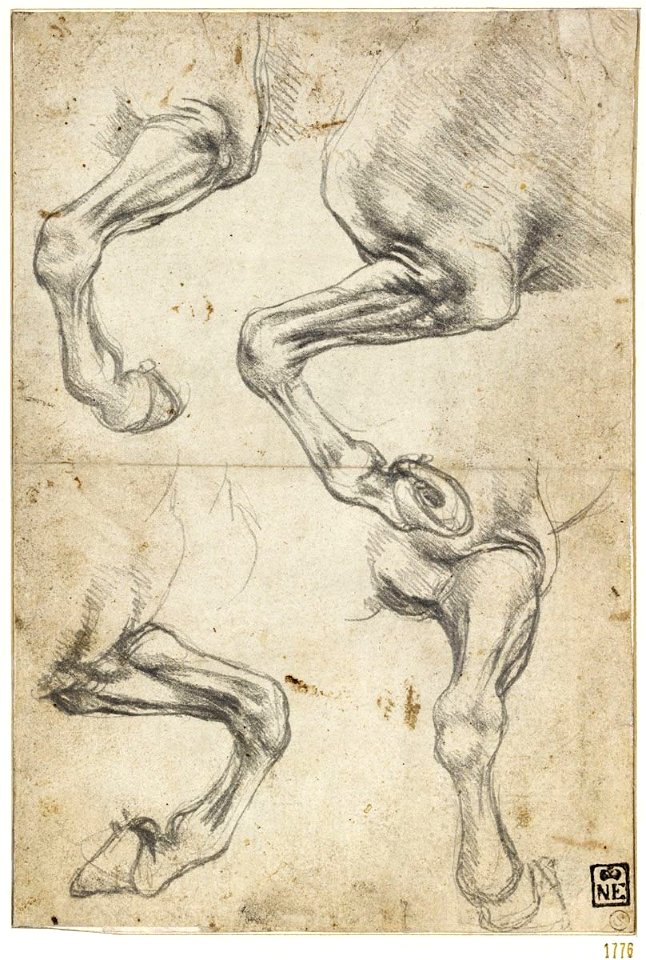 Leonardo da Vinci - Studies of Horses’ Legs, 1776, ca. 1490