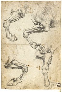 Leonardo da Vinci - Studies of Horses’ Legs, 1776, ca. 1490
