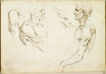 Leonardo da Vinci - RCIN 919004, Verso The surface anatomy of the shoulder c.1510-11