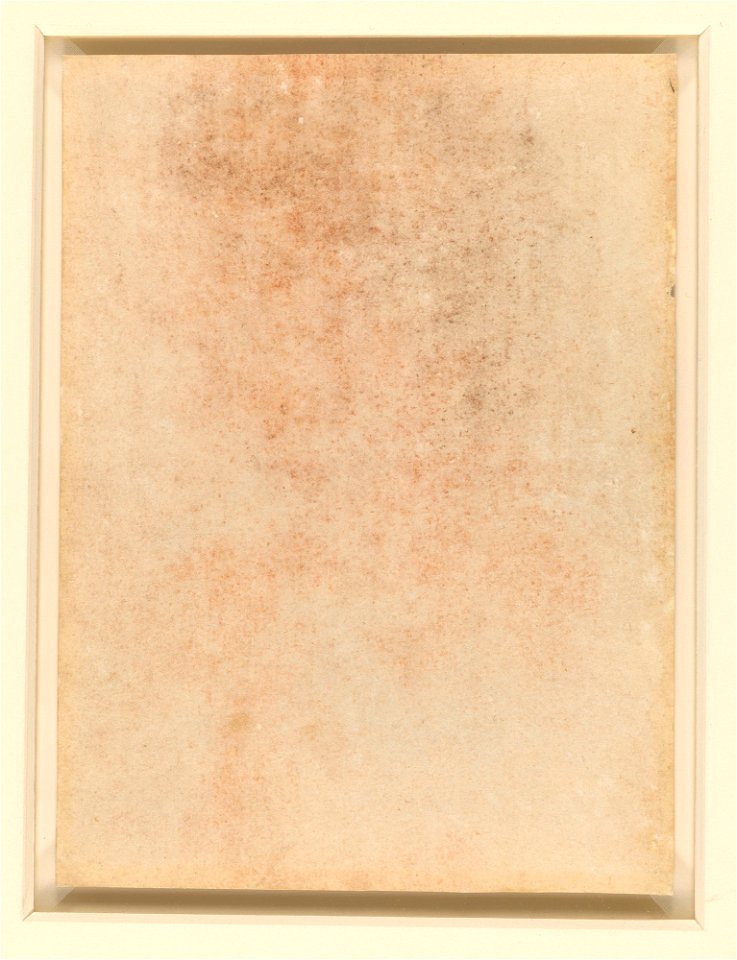 Leonardo da Vinci - RCIN 912499, v, The head of an old bearded man c.1517-18