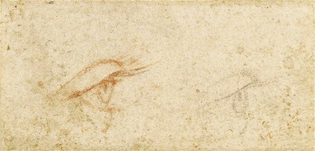 Leonardo da Vinci - RCIN 912434, Two eyes in profile c.1490-95