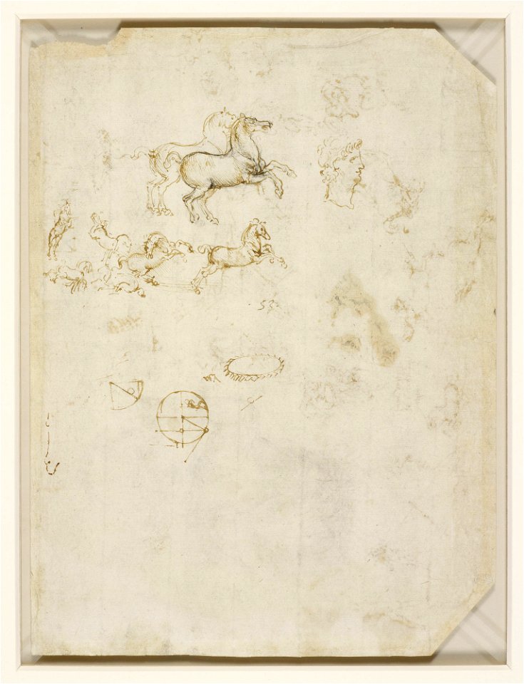 Leonardo da Vinci - Verso Prancing horses, and the head of Nero c.1503-4
