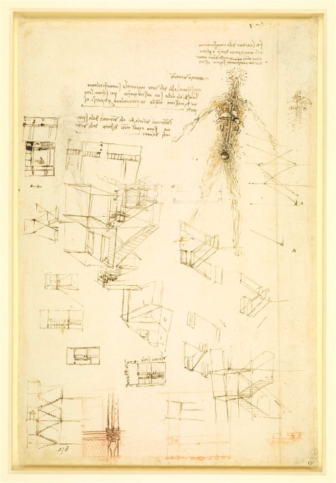 Leonardo da Vinci - RCIN 912592, Recto Studies of the vessels of the body, and of staircases
