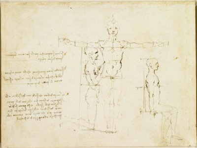 Leonardo da Vinci - RCIN 919132, Recto The proportions of a standing, kneeling and sitting man