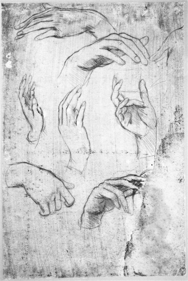 Leonardo da Vinci - RCIN 912615, Studies of hands c.1480