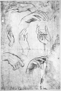 Leonardo da Vinci - RCIN 912615, Studies of hands c.1480