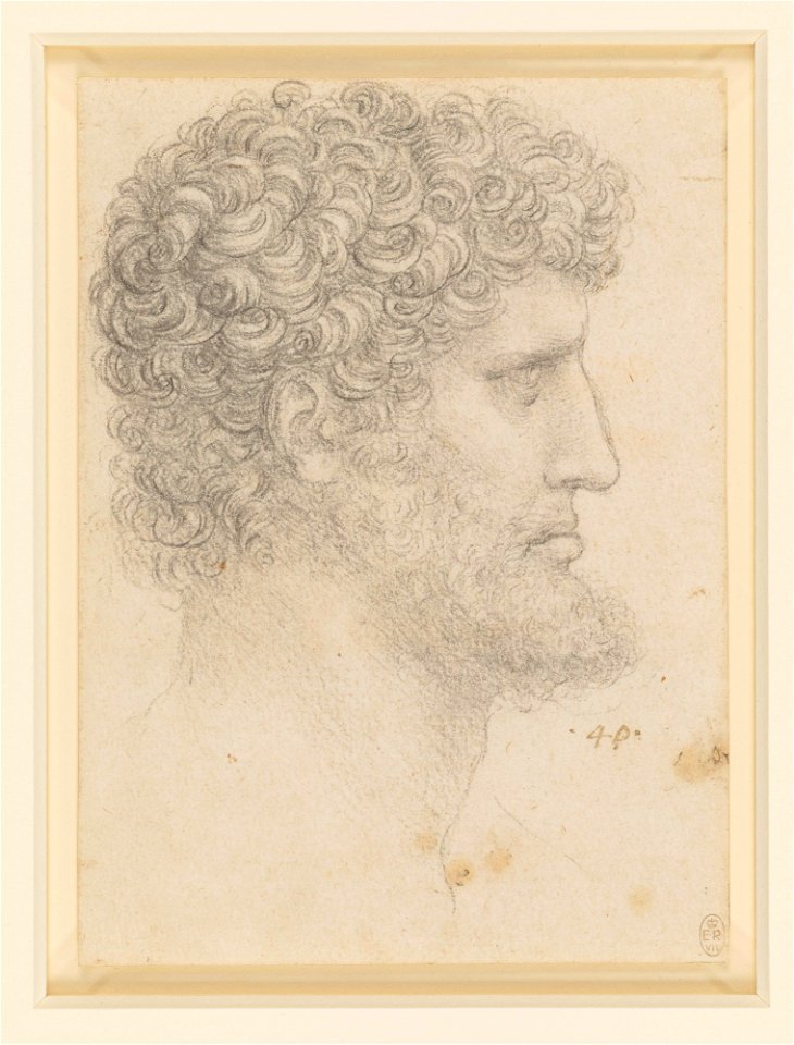 Leonardo da Vinci - RCIN 912553, The head of a bearded man c.1517-18