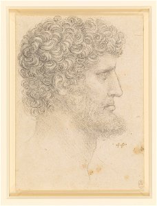 Leonardo da Vinci - RCIN 912553, The head of a bearded man c.1517-18