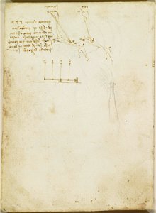 Leonardo da Vinci - RCIN 919026, Verso The mechanics of the arm in man and monkey c.1508