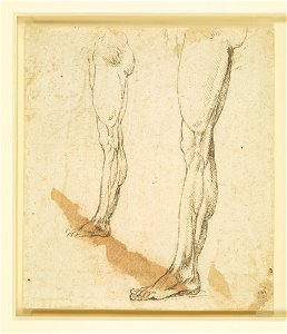 Leonardo da Vinci - RCIN 912634, Recto Two studies of a man's left leg in profile