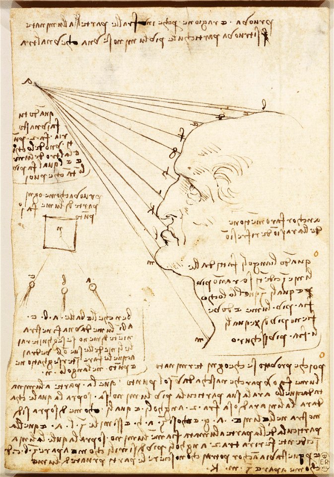 Leonardo da Vinci - RCIN 912604, The fall of light on a face c.1488