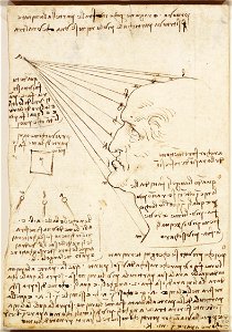 Leonardo da Vinci - RCIN 912604, The fall of light on a face c.1488